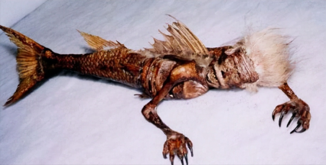 世界上有没有美人鱼，世界上到底有没有美人鱼之谜（900米深海拍到美人鱼）