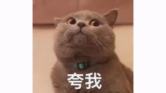 青岛半岛都市报电子版，半岛都市报电子版在线阅读（厦门、青岛将打造“无证明城市”）