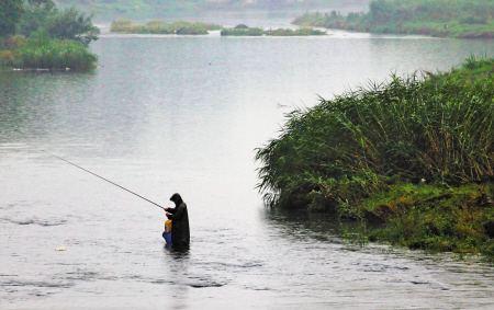 下雨天钓鱼好不好钓，下雨天钓鱼好不好钓路亚（都说雨天好钓鱼）