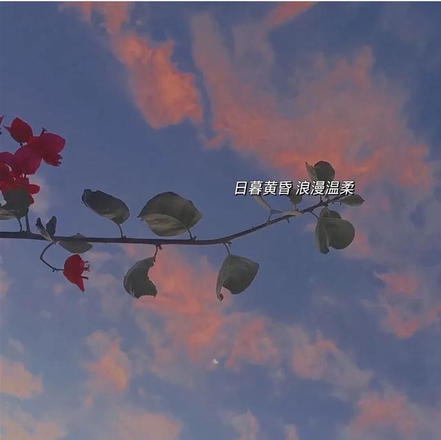 QQ背景图，qq背景图怎么设置（背景图分享<二>）