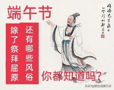 艾叶挂在家里哪些地方好，艾草如何挂在门头有何讲究（端午节有趣风俗你知道吗）