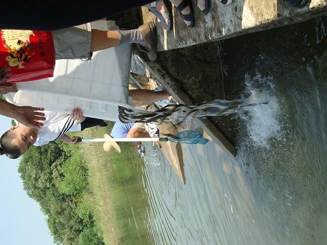 菩萨生日一览表，2022观音生日是哪一天（诸位菩萨的节日，你知道几个）