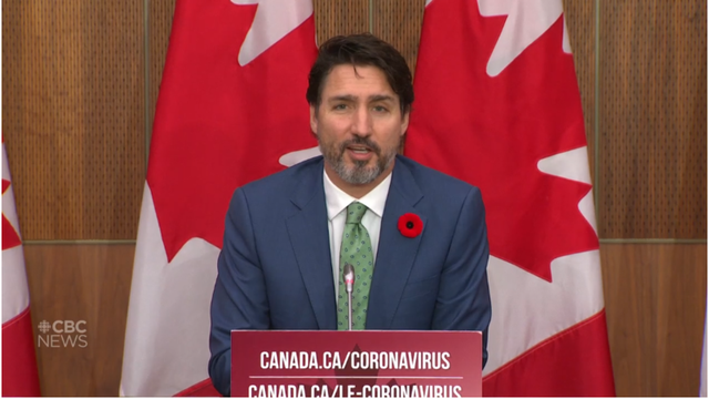 Poppies(罂粟花)网名，Poppies(罂粟花)（禁戴罂粟花纪念亡灵）