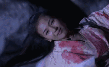 刘涛演阿朱是哪一年的，《天龙八部》的两大阿朱的版本