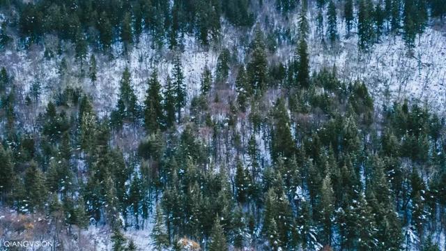 磐羊湖海拔多少米，磐羊湖海拔多少米高度（四姑娘山的娇美背影——毕棚沟）