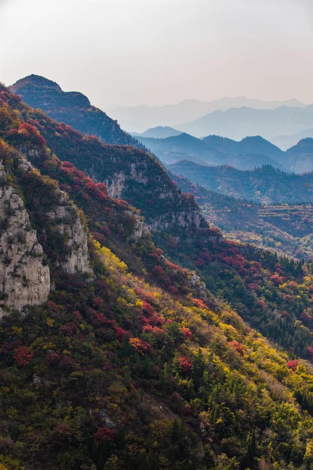 满山红叶似彩霞，阿宝歌曲大全（山东最全赏红叶地图来了）
