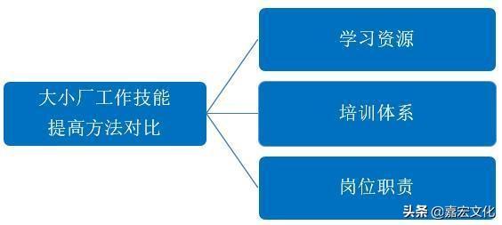 大厂是什么意思，大厂女孩是什么意思（进大厂，还是进小厂）