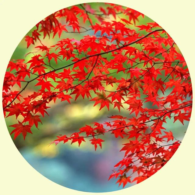 风景照片图片大全，微信头像，风景照片图片大全（令人心旷神怡的美景）