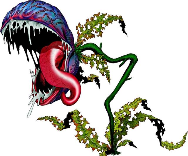 什么是食人花，什么是食人花的克星（这种植物能吃人，碰到要小心）