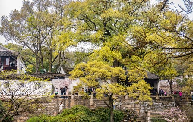 苏州虎丘古塔有多高,苏州虎丘的塔(古人修建了60余年才完成) 苏州虎丘古塔有多高,苏州虎丘的塔(古人修建了60余年才完成)