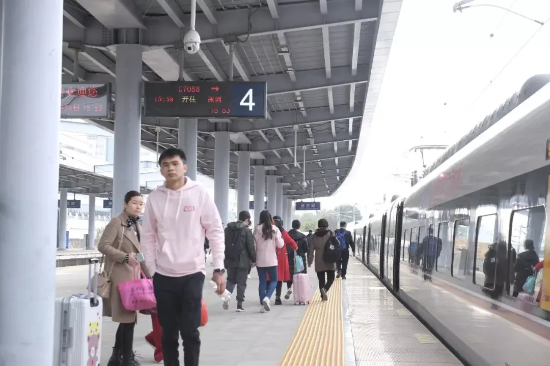 肇庆到深圳(肇庆到深圳有城轨吗)