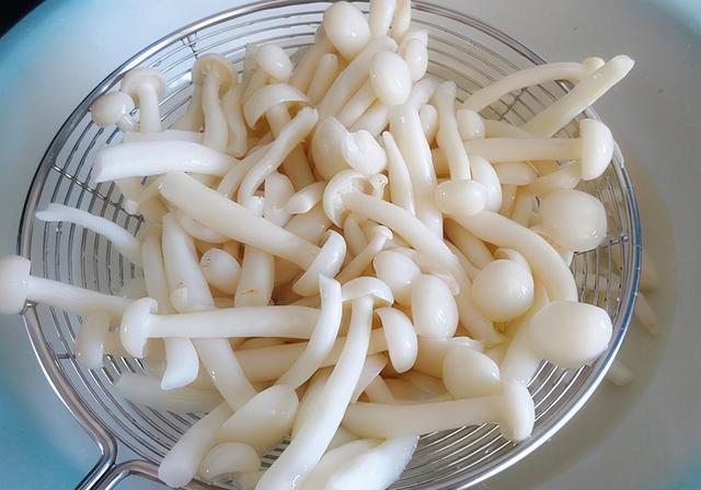 白玉菇不焯水有毒吗，白玉菇做汤用焯水吗（白玉菇这样做太美味了）