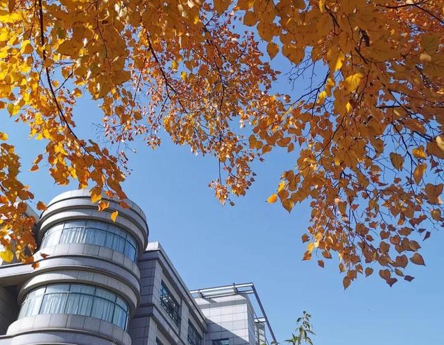 辽宁科技大学宿舍，2021年辽宁科技大学新生宿舍条件图片环境怎么样（<十五>辽宁科技大学）