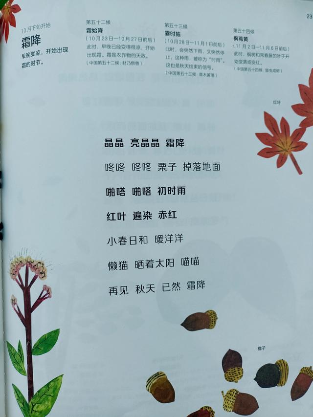 四季是按什么划分的，四季是如何划分（一年四季二十四节气）