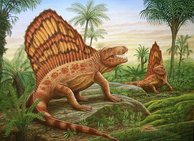 第六次生物大灭绝，地球正进入第六次生物大灭绝（5次生物大灭绝地球经历了什么）