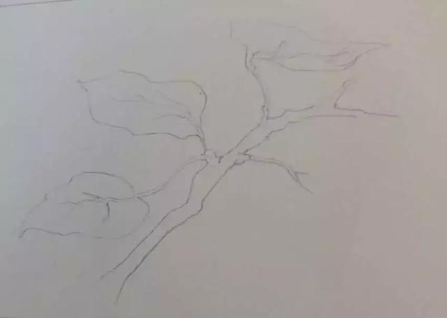 水彩画技法有什么，水彩画技法（5分钟学会一幅画吧）