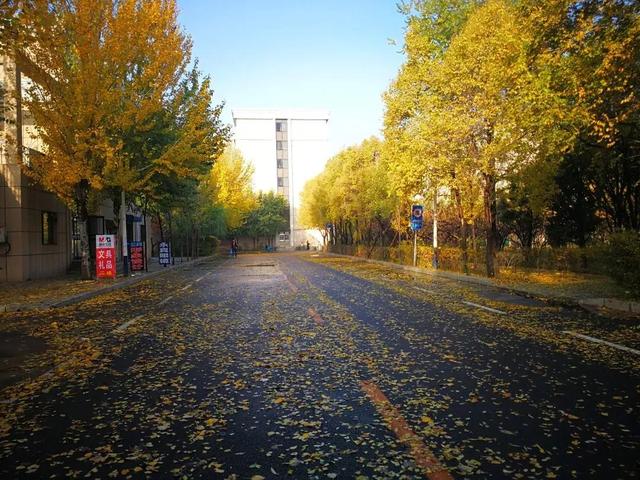 沈阳城市建设学院是几本，沈阳城市建设学院是几本大学（<十一>沈阳城市建设学院）