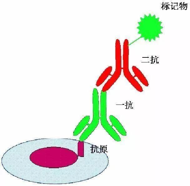 会诊是什么意思，会诊的意思（别怕，手把手教你）