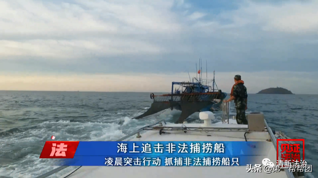 鲎是保护动物吗，鲎是保护动物吗为啥（休渔期非法捕捞国家保护动物中华鲎）