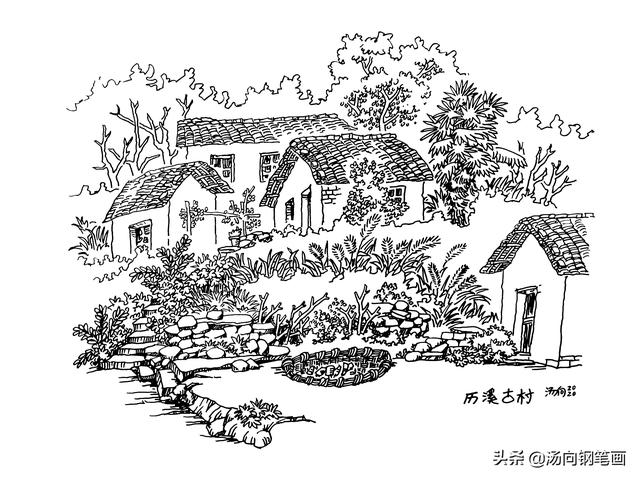 教你用钢笔画6种不同的树叶，钢笔画 树叶（钢笔画入门元素详解）