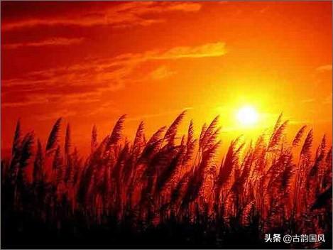 庄稼一枝花的下一句，庄稼一枝花的下一句怎么说（《学生谚语》，读后涨知识）