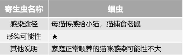 去猫虱子最简单的方法，猫如何除虱子（认真研究了猫的寄生虫和驱虫药后）