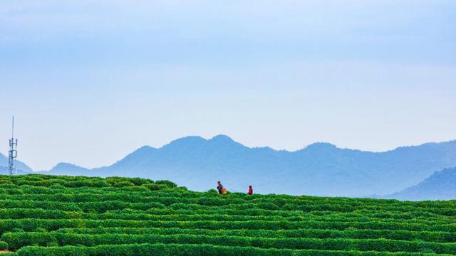 栅格化图层怎么操作，ps栅格化图层快捷键是什么（PPT大神居然也用了PS）
