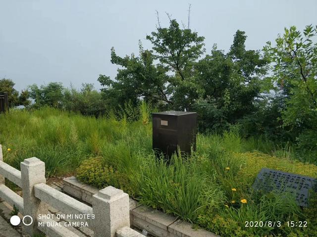 大连北大桥介绍，我所知道的大连“北大桥”