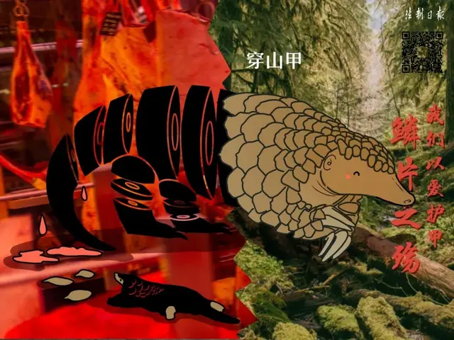 牛蛙属于海鲜吗，牛蛙算海鲜吗（这份野生动物名录仔细看一下）