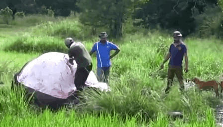 果冻能带上飞机吗，果冻可以带上飞机吗（果冻是不可以带上飞机的）