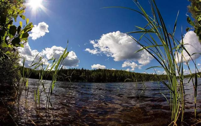 芬兰是什么之国，芬兰被称为什么之国（芬兰共和国简介）