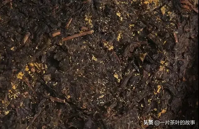 黑茶属于什么茶，湖南安化黑茶属于什么茶（黑茶与其他茶有何不同）