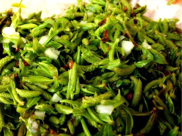 野生白花菜图片，野白花菜的功效与作用与禁忌（20种常见野菜辨别图）