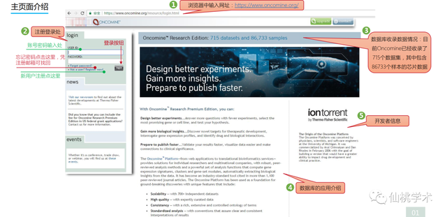 excel左右拉条不见了，excel的左右滚动条不见了（单基因泛癌免疫分析）