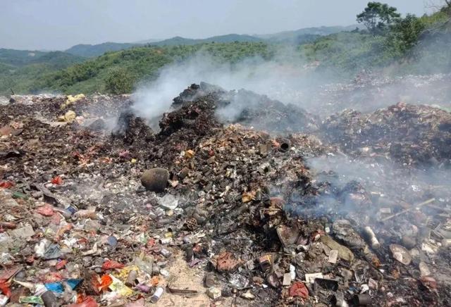 牛胃怎么清洗与处理，牛瘤胃怎么清洗（牛胃液可以分解塑料）