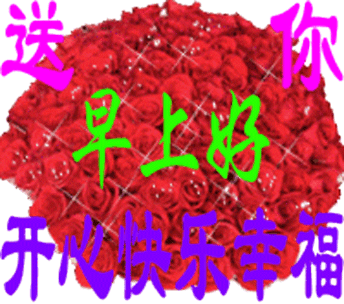 早安一句话唯美句子，早安心语每日一语（新的一天早安祝福语精美语句）