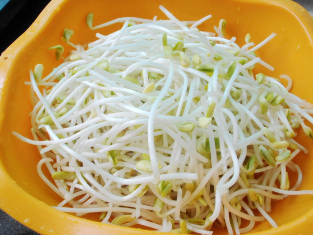 豆子泡水里，湿毛巾捂一捂，5天长出芽苗菜