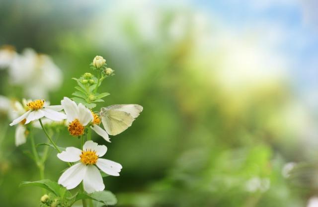 底线的句子，底线的句子搞笑（做人的底线，就7句<精辟>）