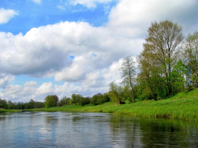 巨人观尸体是什么意思，巨人观尸是什么意思 巨人观图片（一例“巨人观”的故事）