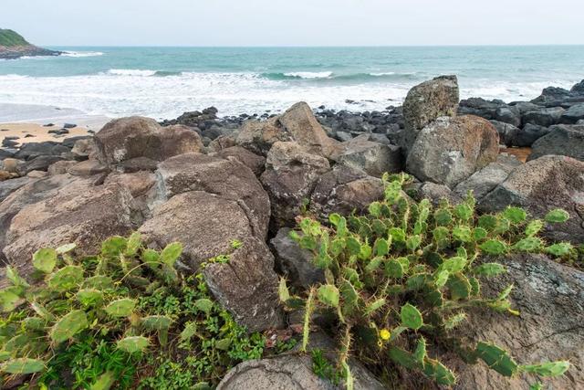 雷州半岛，不一样的冬天：慢游雷州半岛（雷州半岛属于哪个市）