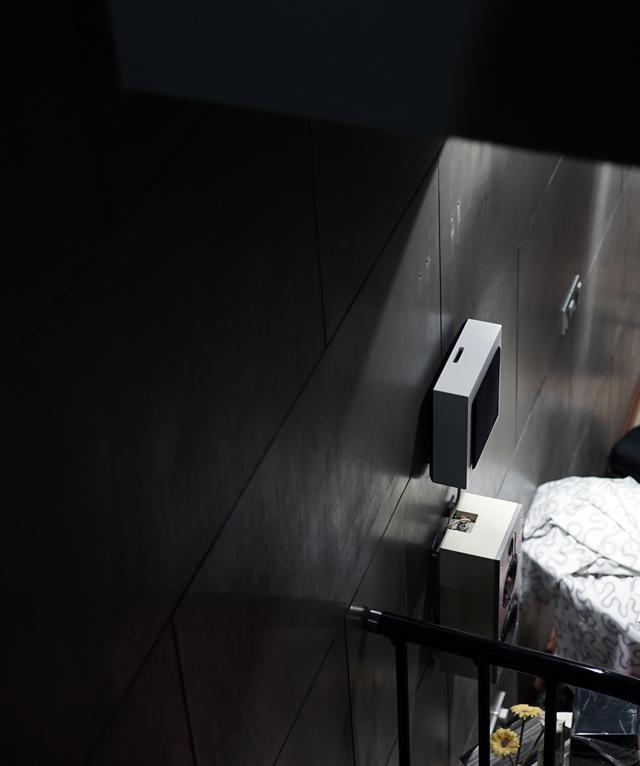 dls是什么意思，Flatmini