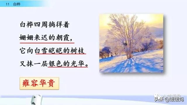 悠扬的近义词，“悠扬”的近义词是什么（四年级下册语文第11课《白桦》图文详解及同步练习）