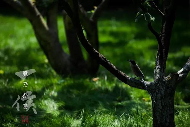 处暑应该吃什么，调理很多亚健康症状