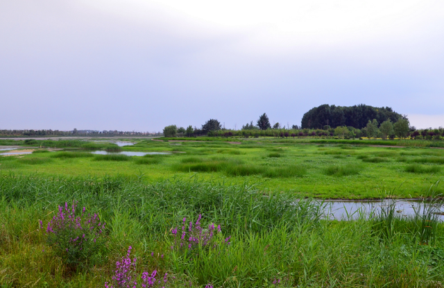 洞庭湖在哪里，洞庭湖从哪里来