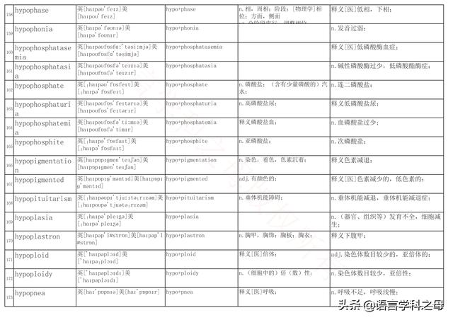 国民homo什么意思，homolive什么梗（总结了367个以hyper、240个以hypo前缀、106个以homo前缀的单词）