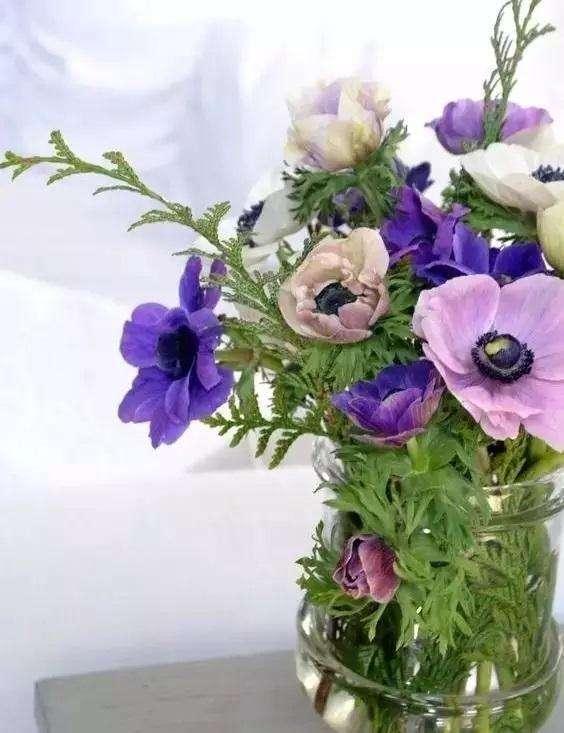 铃兰花的花语，从此买花送人不出错（铃兰花的花语与寓意）