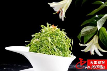 刺儿茶的功效与作用，刺儿茶的功效与作用及副作用（春天的馈赠 常见野菜大全）