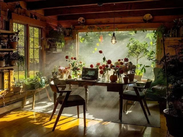 错过就从新开始而不是重新开始/苏苏/愿喜，错过了就从新开始 而不是重新开始是什么意思（我总不能为了你，自己错过吧图片）