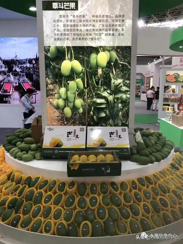 水仙芒果怎么才算熟了，水仙芒果怎么催熟（最好吃的芒果图鉴指南）