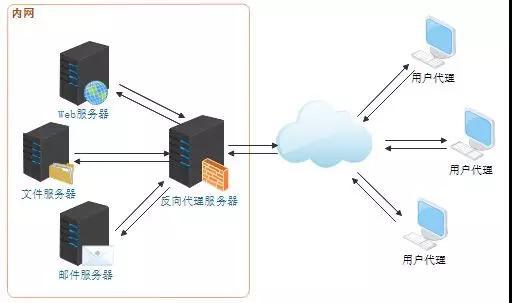 英文域名51web，web3.0的网页规范（Web应用程序服务器与反向代理）